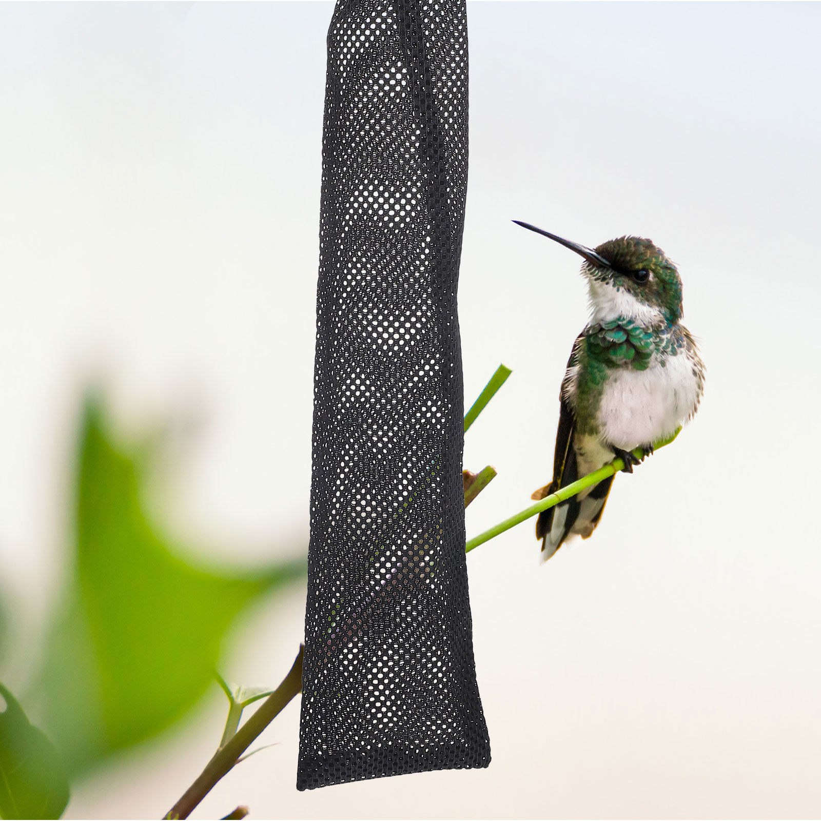 Food Storage Plastic Bag - 3Pcs Birds Feeding Mesh Bags Nylon