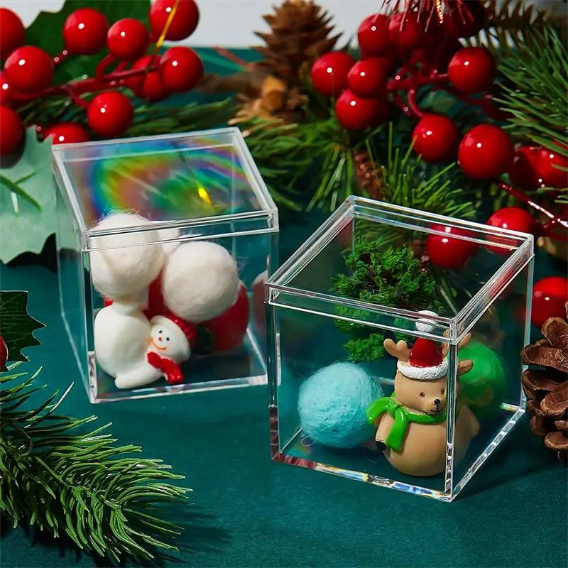 12 PCS Transparent Acrylic Box - огляд і ціна Xmas Food Storage Containers