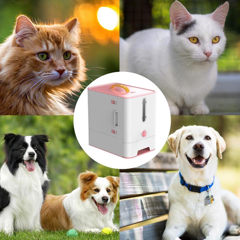 Pet Feeder Box Feeding Bowl Ca - огляд і ціна Food Storage And Safety