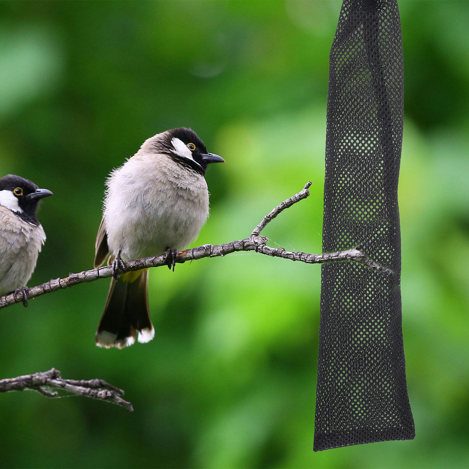 3Pcs Birds Feeding Mesh Bags N - огляд і ціна Food Storage Plastic Bag